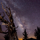 Illustration for article titled Astronomy Photographer of the Year 2010 Awards Gallery